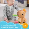 Mängukapybara Fisher-Price Snuggly Snacky Capy alates 0,5 eluaastast