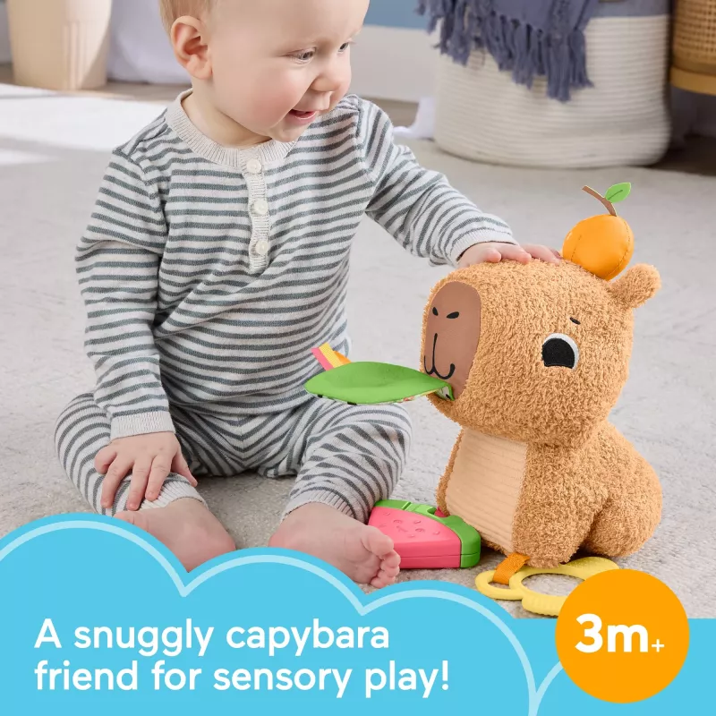 Mängukapybara Fisher-Price Snuggly Snacky Capy alates 0,5 eluaastast