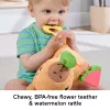 Mängukapybara Fisher-Price Snuggly Snacky Capy alates 0,5 eluaastast