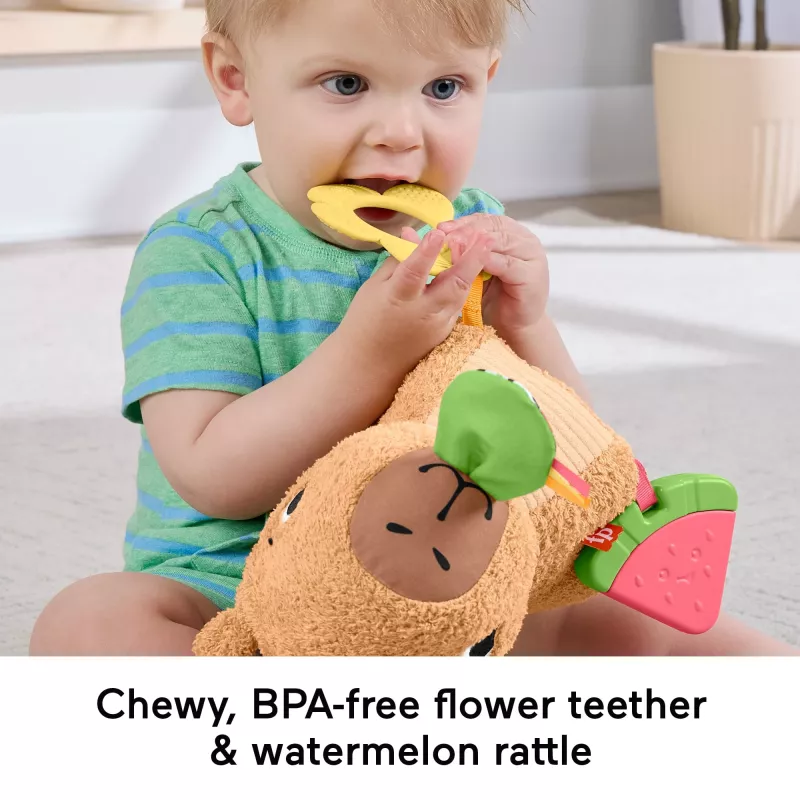 Mängukapybara Fisher-Price Snuggly Snacky Capy alates 0,5 eluaastast