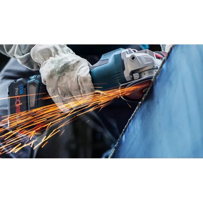 Bosch 2 608 621 825 nurklihvija tarvik lihvimisketas