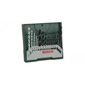 Bosch 2 607 019 675 puuritera 15 tk