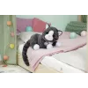 BABY born Minu Kass Cookie koos kastiga, Nuku lemmikloom, 3 a, Vajalikud patareid