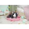 BABY born Minu Kass Cookie koos kastiga, Nuku lemmikloom, 3 a, Vajalikud patareid