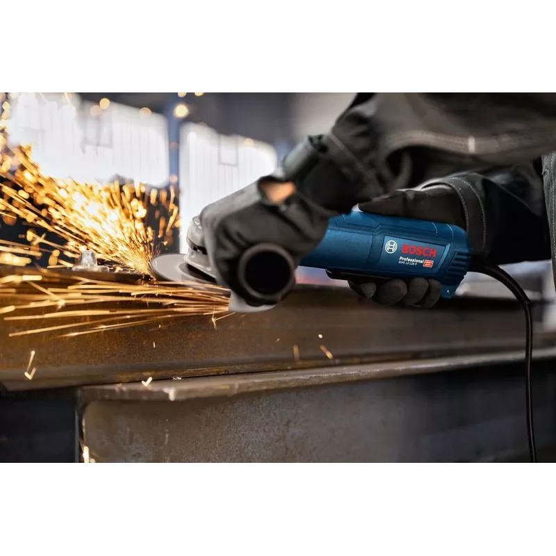 Bosch GWS 12-125 P Professional nurklihvija 12,5 cm 11000 p/min 1200 W 2,4 kg