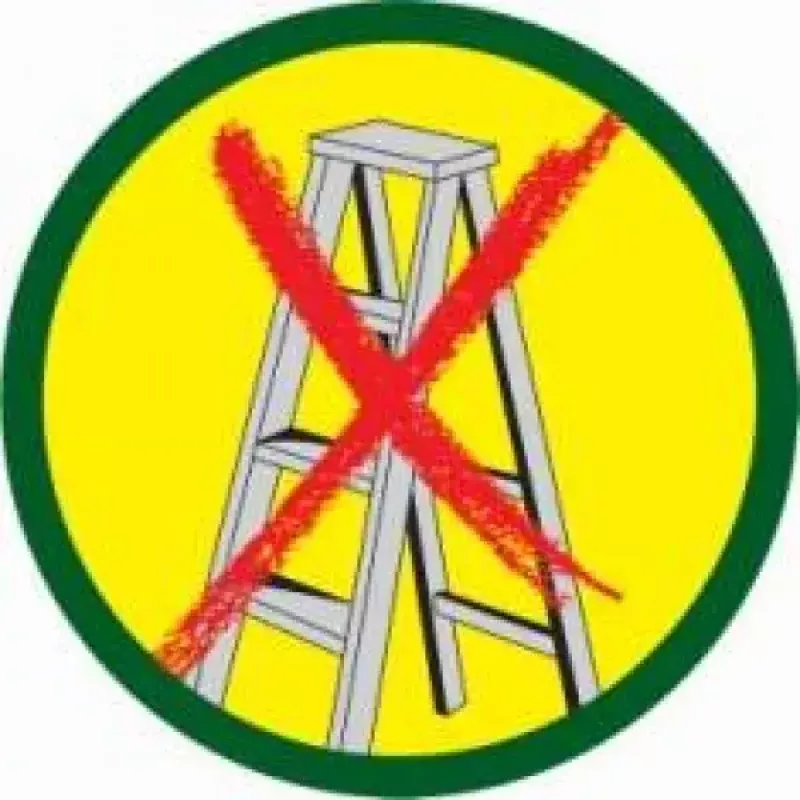 Oksakäärid WOLF-Garten RR-VM