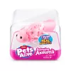 Pehme mänguasi Zuru Pets Alive Swimming Axolotls, kaisukassist mänguasja suurus, mudel 9556UQ1