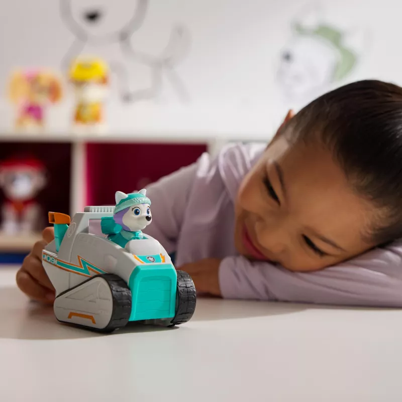 Sõiduk Spinmaster PAW Patrol Everesti lumelükkur — plastikust, alates 3. eluaastast, türkiis/valge