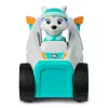 Sõiduk Spinmaster PAW Patrol Everesti lumelükkur — plastikust, alates 3. eluaastast, türkiis/valge
