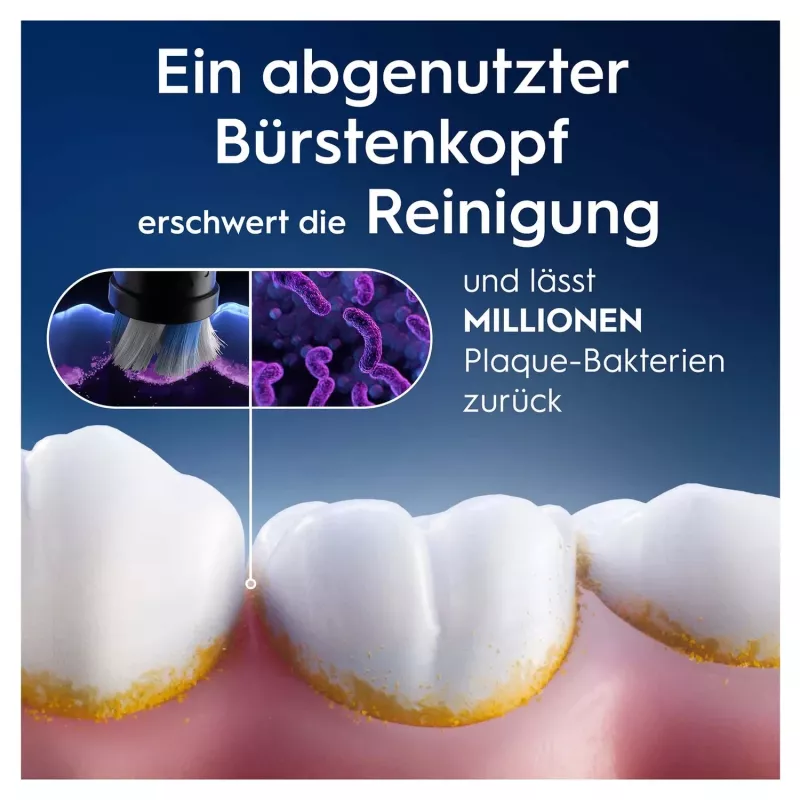 Oral-B 373210 hambaharjapea 2 tk Valge