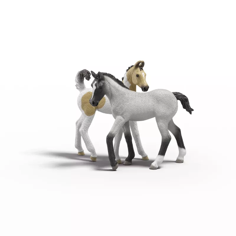 Schleich Sarah esmaabikomplekti mängukomplekt — Schleich 42777