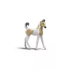 Schleich Sarah esmaabikomplekti mängukomplekt — Schleich 42777