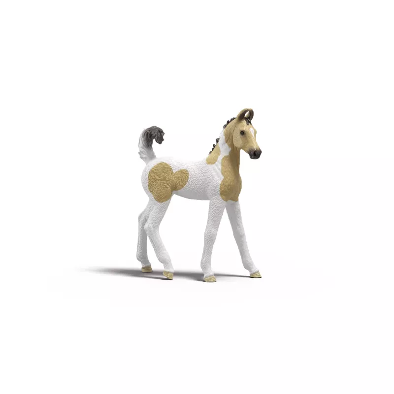 Schleich Sarah esmaabikomplekti mängukomplekt — Schleich 42777