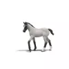 Schleich Sarah esmaabikomplekti mängukomplekt — Schleich 42777