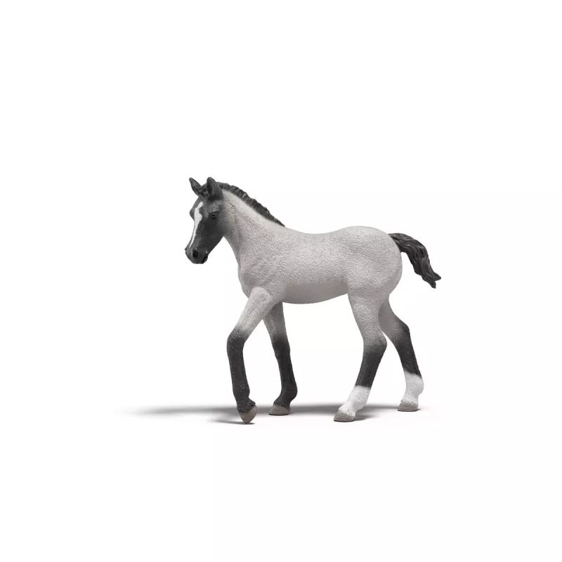 Schleich Sarah esmaabikomplekti mängukomplekt — Schleich 42777