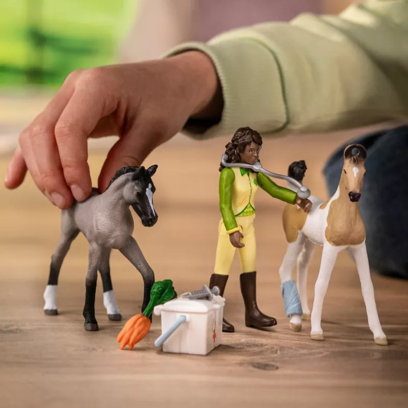 Schleich Sarah esmaabikomplekti mängukomplekt — Schleich 42777
