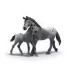Schleich Lisa võistlustreeningu hobusekomplekt, plastfiguurid, mitmevärviline, vanusele 5–12