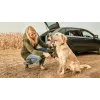Bosch Fontus 18V survepesur vertikaalne aku Must, Roheline