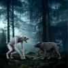 Schleich Wizarding World mängukomplekt Harry Potter Werewolf vs. Animagus figuurid, kollektsioneeritavad kujukesed