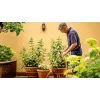 Bosch GardenPump18V-2000 (1x2.5Ah) 2000 l/h