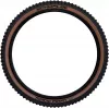 Jalgratta rehv Schwalbe Magic Mary Super Gravity — must/bronze