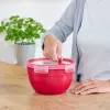 Karp EMSA N10605 Ümmargune 1,1 L Punane Läbipaistev 95 mm 16,7 cm