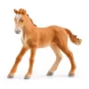 schleich HORSE CLUB Järveäärne ratsakeskus, talu, hobusetall, hobused, 5 a, mitmevärviline, plastik