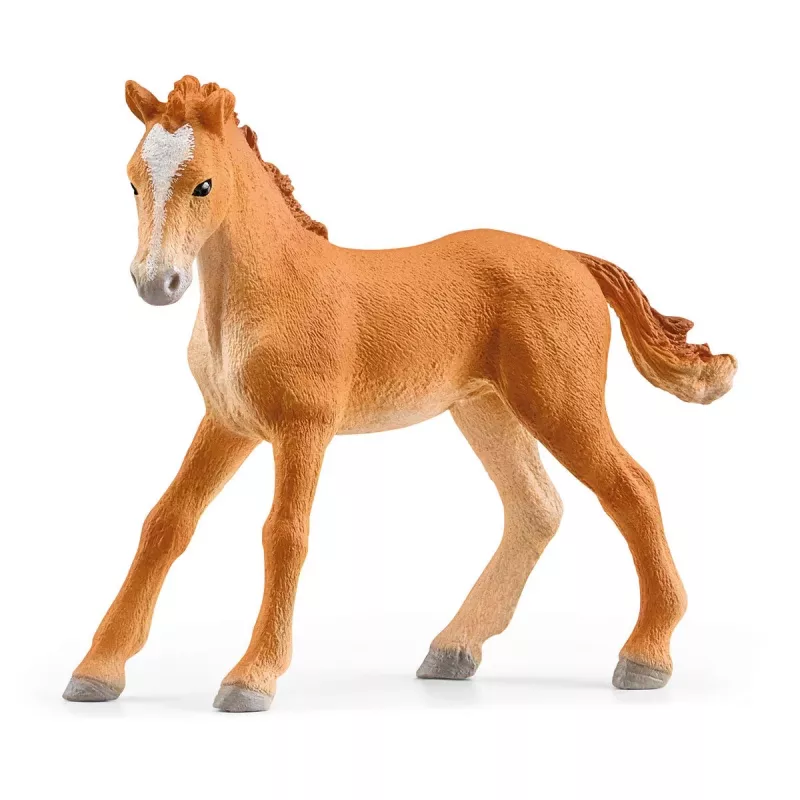 schleich HORSE CLUB Järveäärne ratsakeskus, talu, hobusetall, hobused, 5 a, mitmevärviline, plastik