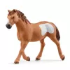 schleich Cowgirl Team Roping Fun, 3 a, Mitmevärviline