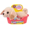 Moose Toys Little Live Pets My Really Real Puppy Mini's - kuldse retriiveri kutsikas Buddy