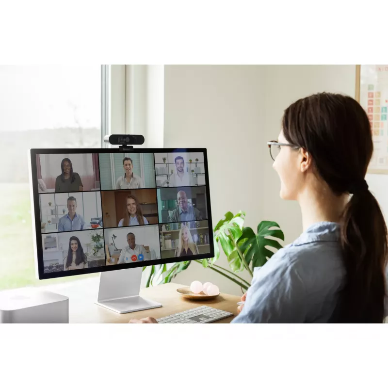 Veebikaamera Sandberg Face-ID Webcam 2