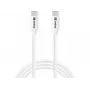 Sandberg USB-C USB-C 65W 1M SAVER, 1 m, USB C, USB C, USB 2.0, valge