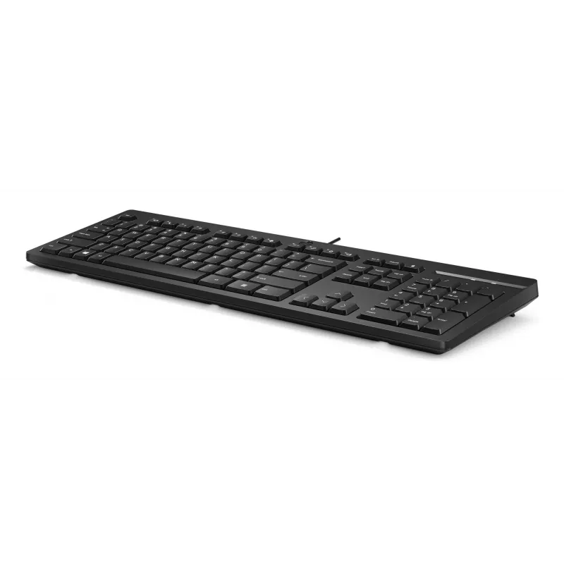 klaviatuur HP 125 USB WD KBD Bulk 12 Full-size Wired QWERTY