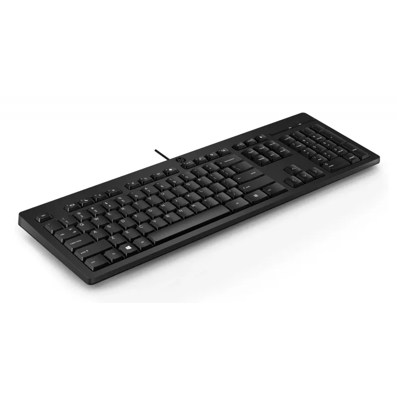 klaviatuur HP 125 USB WD KBD Bulk 12 Full-size Wired QWERTY