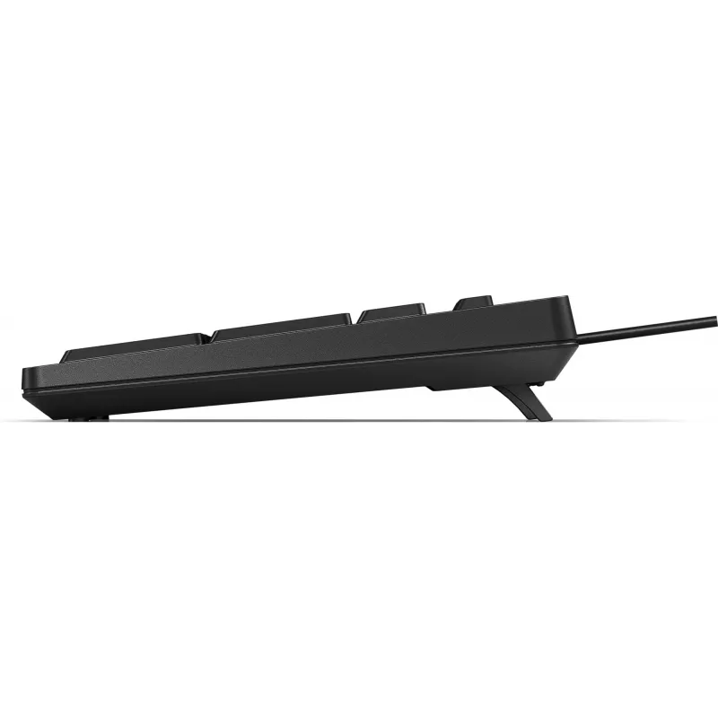 klaviatuur HP 125 USB WD KBD Bulk 12 Full-size Wired QWERTY