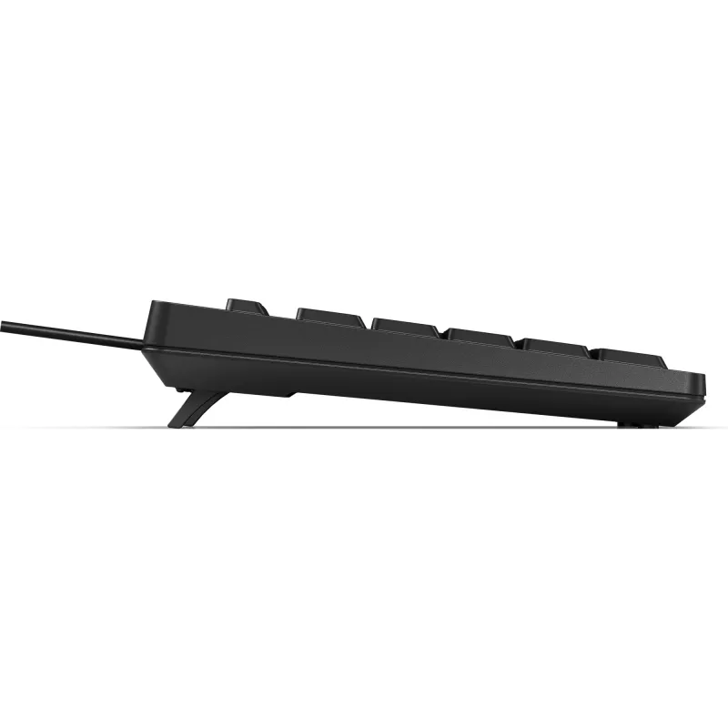klaviatuur HP 125 USB WD KBD Bulk 12 Full-size Wired QWERTY