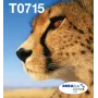 Epson Multipack 4-colours T071 EasyMail, standardmaht, must, tsüaan, magenta, kollane, 7,4 ml, 5,5 ml, 1 tk, mitmikpakend