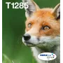 Tindiprinteri mitmevärvilised tindikassetid Epson Fox T128 EasyMail — 4 värvi (Must 5,9 ml; Tsüaan/magenta/Kollane 3,5 ml)