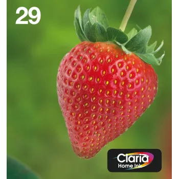 Epson Strawberry Multipack 4-värviline 29 EasyMail, standardmahutavus, must, tsüaan, magenta, kollane, 5,3 ml, 3,2 ml, 1 tk, mitmikpakend