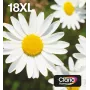 Epson Daisy mitmikpakett 4 värvi 18XL EasyMail, kõrge tootlikkusega (XL), must, tsüaan, magenta, kollane, 11,5 ml, 6,6 ml, 1 tk, mitmikpakett