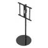 Telerialus Gembird TVS-65S-02 Must 165.1 cm 35 kg