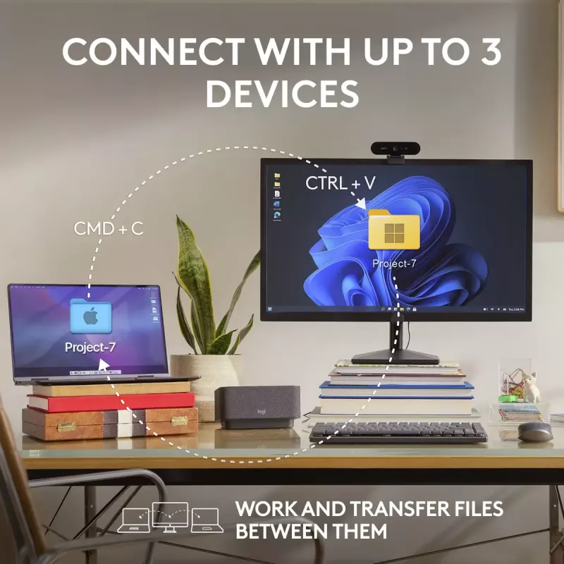 Hiir Logitech MX 3S Roosa USB Optiline