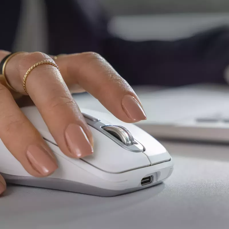 Hiir Logitech MX 3S Roosa USB Optiline