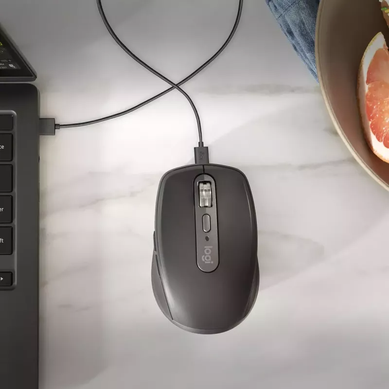 Hiir Logitech MX 3S Roosa USB Optiline