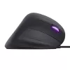 Trust GXT 144 Rexx hiir Mängimine Paremakäeline USB Type-A Optiline 10000 DPI