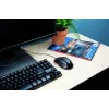 Trust Voca hiir Office paremakäeline USB Type-A optiline 2400 DPI