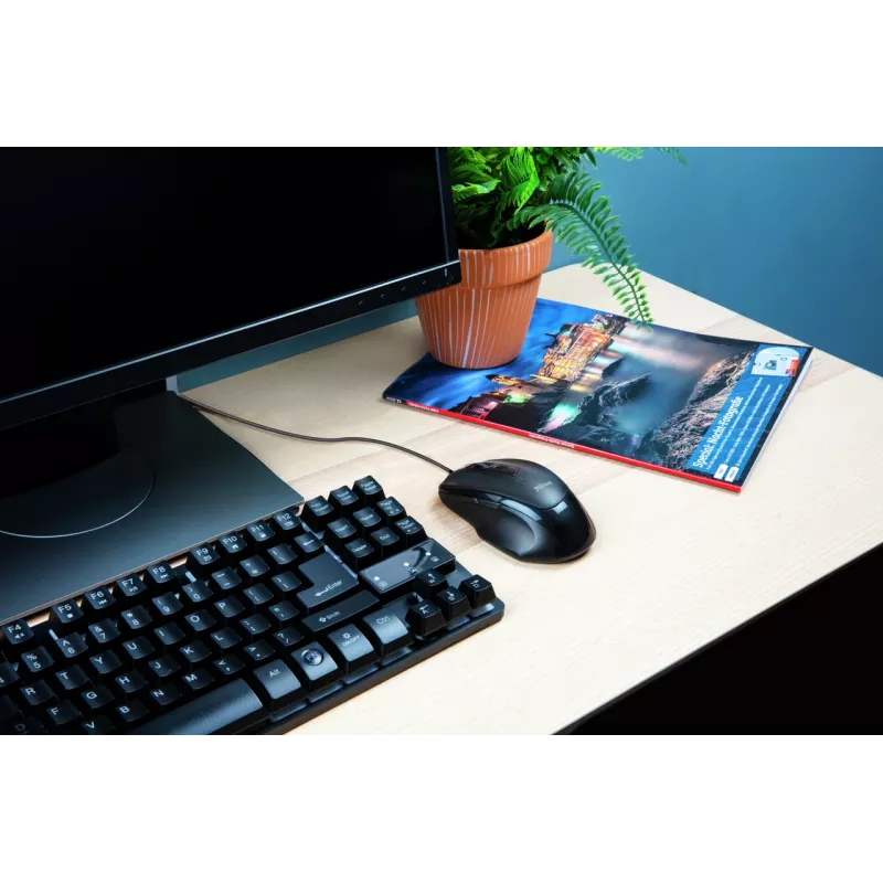 Trust Voca hiir Office paremakäeline USB Type-A optiline 2400 DPI
