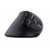 Trust Voxx hiir Kontor Paremakäeline RF-juhtmevaba + Bluetooth Optiline 2400 DPI