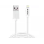 Sandberg USBLightning MFI 1m SAVER, 1 m, Lightning, USB A, isane, isane, valge