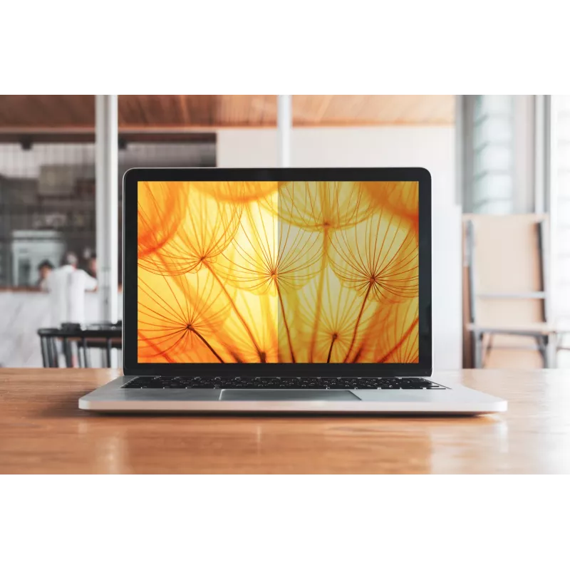 3M Bright Screen privaatsusfilter Microsoft® Surface® Pro 4, 5, 6, 7 12.3in, 3:2, BPTMS001